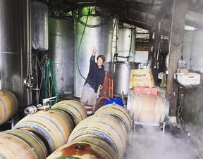 美酒王國進口食品網(wǎng) 一站式進口解決方案